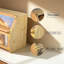 Food Storage Container