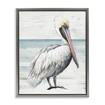 Pélican rustique sur le rivage