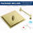8-Inch Gold Stainless Steel Rain Shower Head With Adjustable Extension Arm-113380559