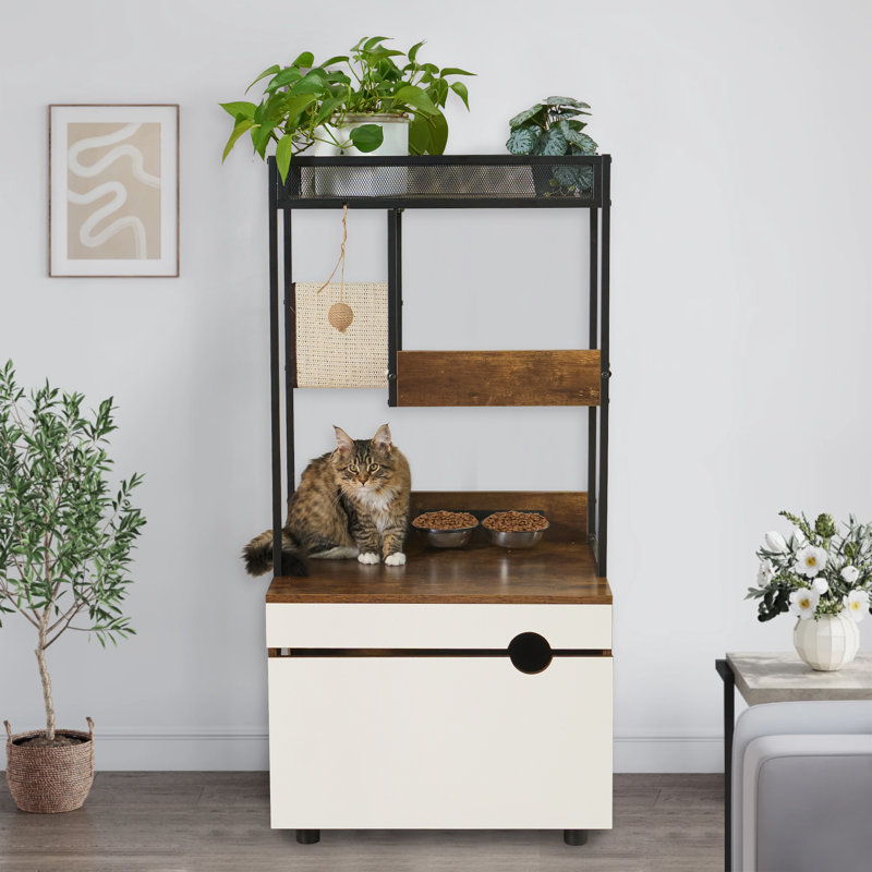 Enceinte de litière multifonctionnelle pour chat avec tour d'arbre à chat