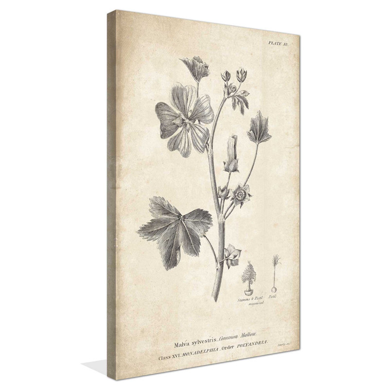 Conversations on Botany 7 - Peinture, L 18 po x H 30 po, Toile tendue