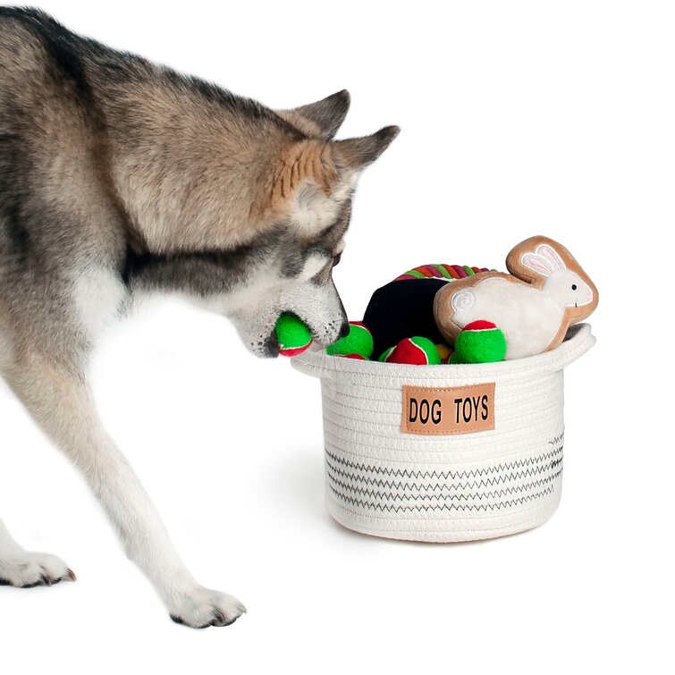 https://assets.wfcdn.com/im/78894802/resize-h755-w755%5Ecompr-r85/1550/155086017/Dog+Toy+Fabric+Basket.jpg