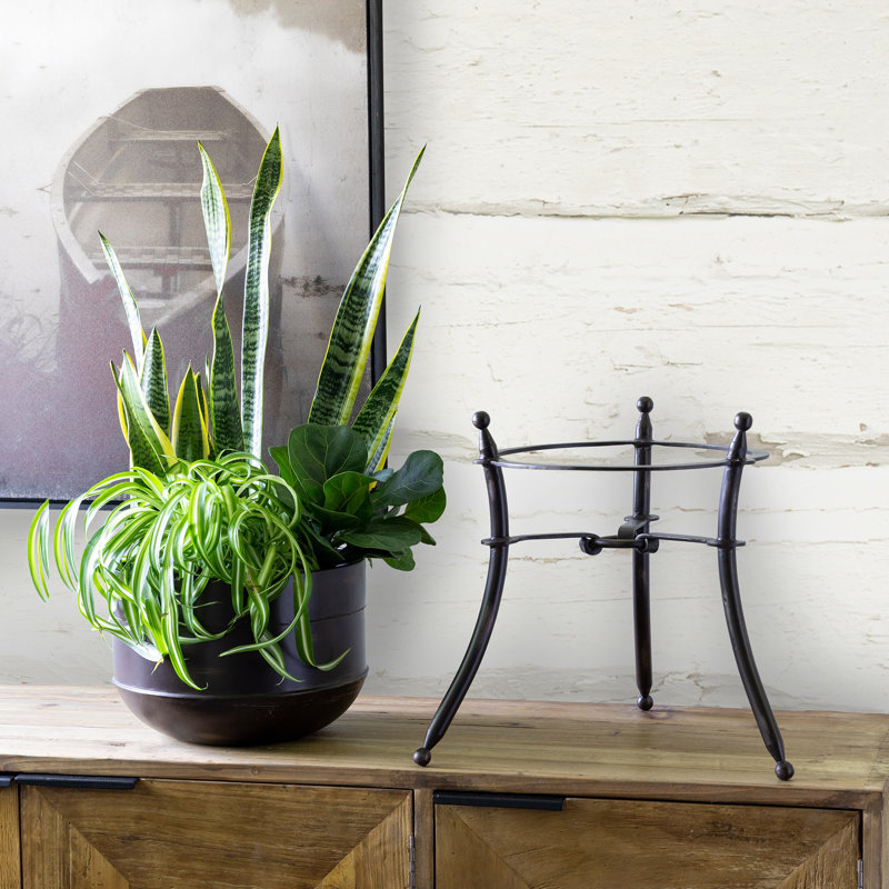 Portal Iron Planter