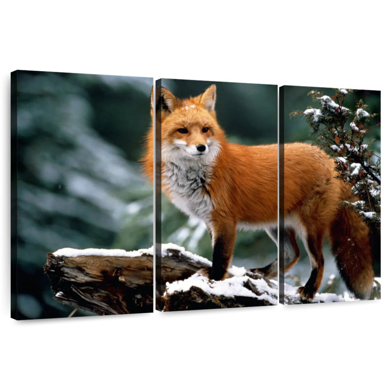 Furry Winter Fox, 32" H x 50" W