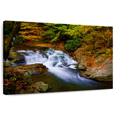 Alvord Smoky Mountains Creek