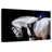 Sireci White Horse And Equestrian-107687577