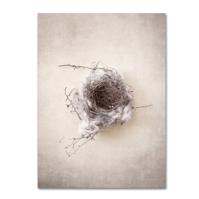 Art mural sur toile tendue - «Nest III» par Debra Van Swearingen pour décoration de salon, de chambre à coucher ou de bureau - 24 x 32