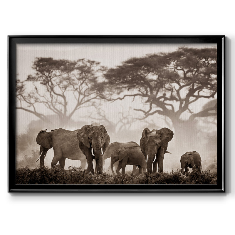 Amboseli National Park, reproduction d'art sur toile, Noir, H 30 po x l 44 po x P 1,5 po