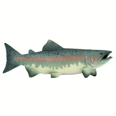 Saumon