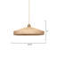 Parasol 1 - Light Pendant-329281826
