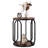 Carnforth 24.4"H Round End Table with Storage-1203602858
