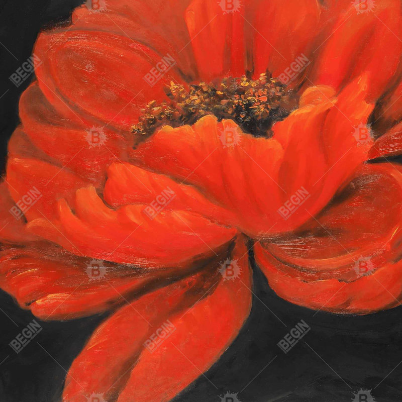 petal flower - 32"x32" art on canvas