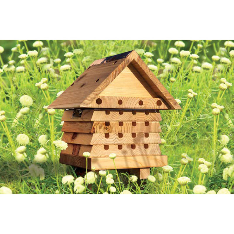 Bengoa Mounted Solitarybee House