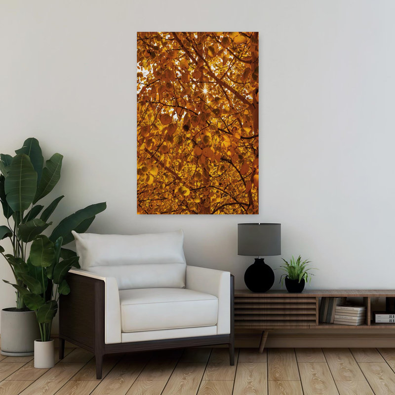 Guanella Pass Sunburst Abstract Contemporary Art, H 36 po x l 24 po
