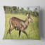 Antilope Waterbuck dans l'herbe verte - coussin imprimé animal-30721980-30721977
