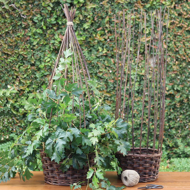 August Grove Willow Willow Basket