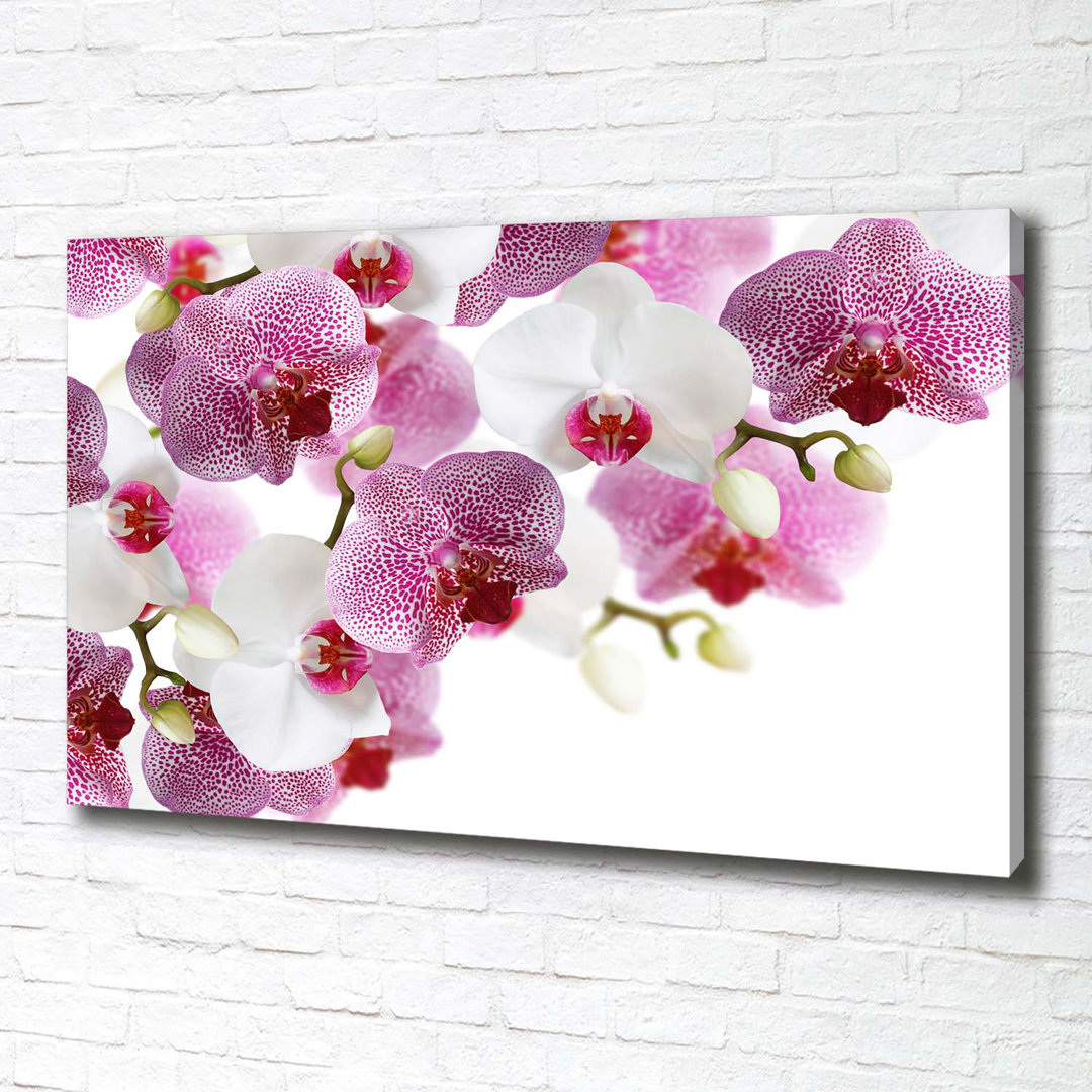 Orchidee - Kunstdrucke auf Leinwand - Wrapped Canvas