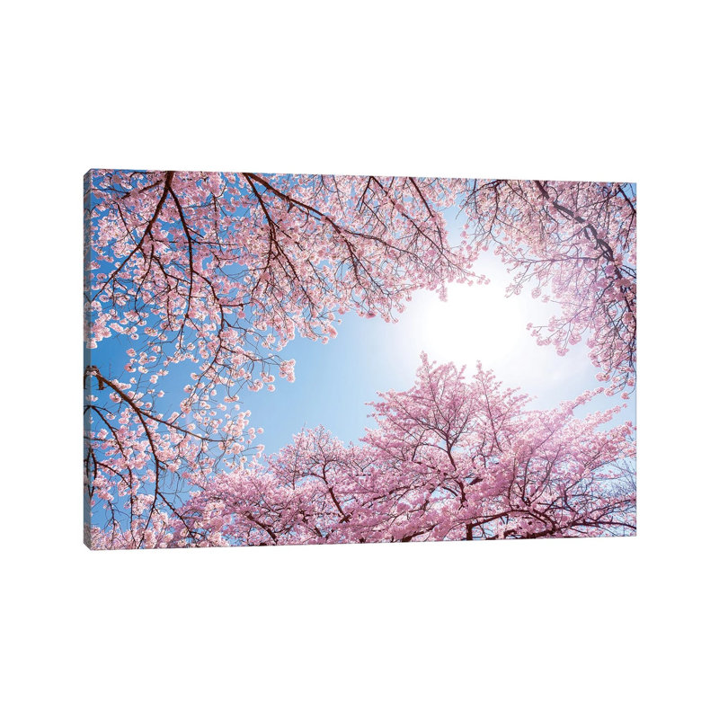 Cherry Blossom In Spring by Jan Becke - Wrapped Canvas Print, 66.04 cm H x 45.72 cm W x 1.91 cm D