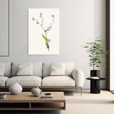 Botanical Forget Me Nots Classic Delicate Vintage Flower Nature Wall Art
