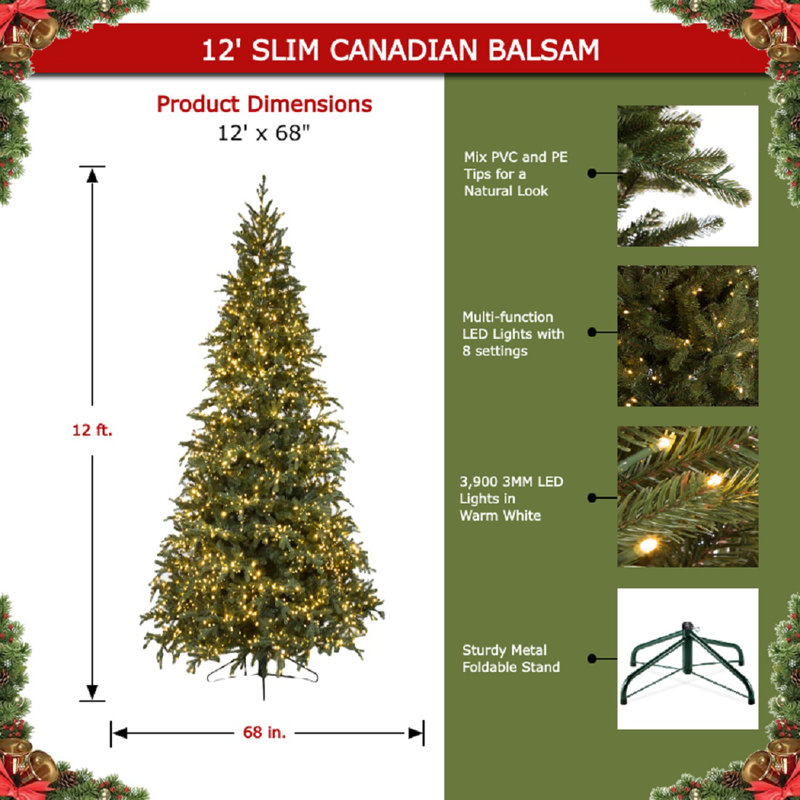 Carolina Fraser Artificial Christmas Tree Clear Lights, 12'
