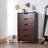Accent Chest