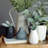 3 Piece Iconic Fluted Vases 