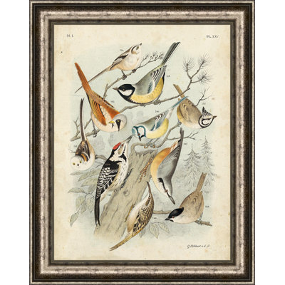 " Gathering Of Birds II "