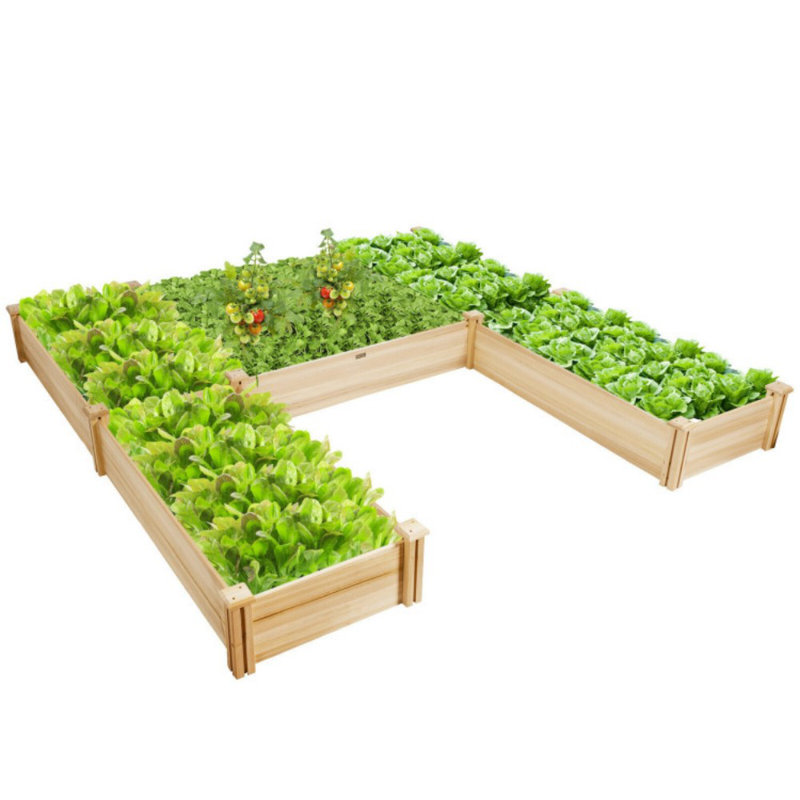 Tavion Wood Raised Garden Bed
