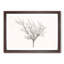 A Pink Cherry Blossom Tree - Picture Frame Painting Print-56628296-56628295