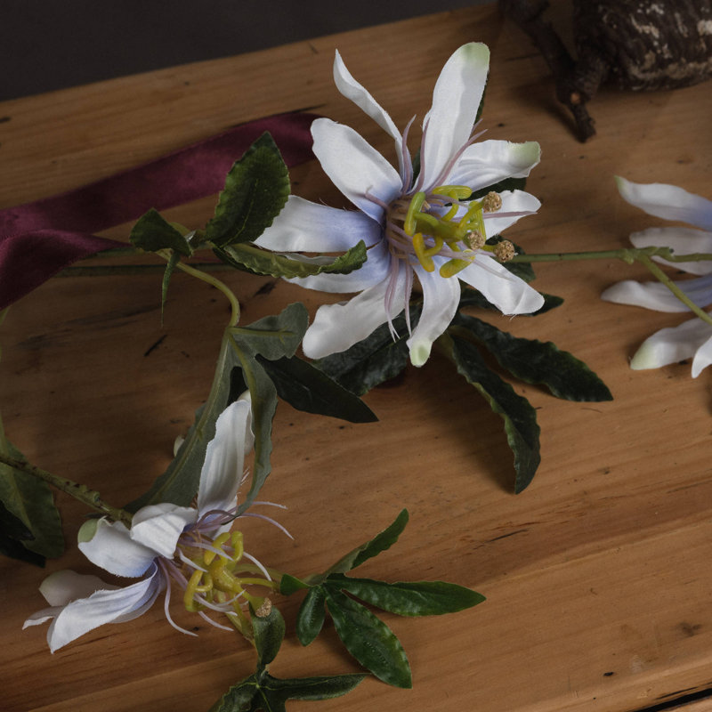 Anastasija Arrangement