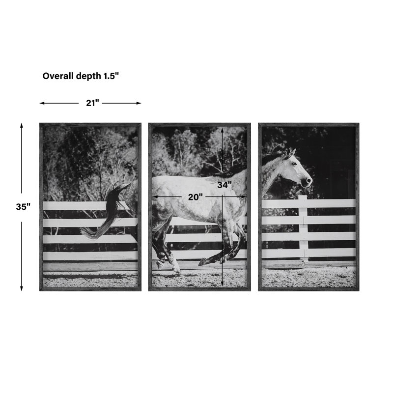 Galloping Forward Black and White Horse Print Set