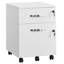 40cm Wide 2 -Drawer Mobile File Cabinet-869435986