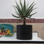 Handmade Ceramic Planter-1365863824-1365863839