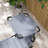 Outdoor Lounge Chair, Adjustable Backrest Folding Chaise Lounge, Cushioned Chair With Sunshade Roof & Pillow Headrest-839717271