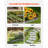 Steel Landscape Edging 5 Packs Rust-Resistant Edging Border-111135800-111135803