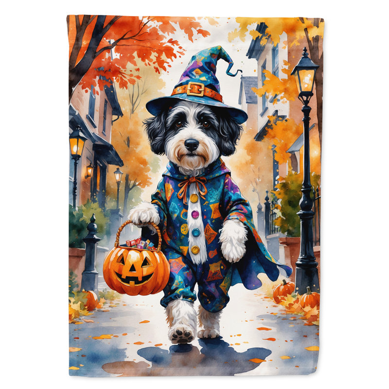Drapeau de maison Weimaraner, Bernedoodle