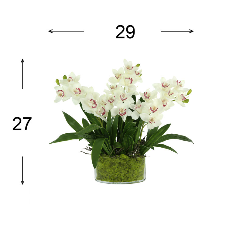 Faux Orchids in Glass Vase with Moss