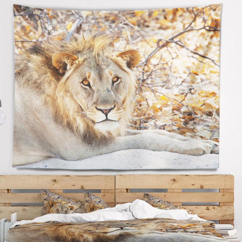 Lion solitaire africain se reposant dans une tapisserie forestière, H 68 po x l 80 po