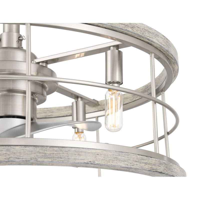 Ventilateur de plafond 22 po avec luminaire et télécommande portable Hunter Bridgette Fandelier Hunter, Nickel brossé