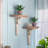 T-Shaped Fir Bracket Shelf