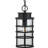 Oak Park 1 - Light Outdoor Hanging Lantern