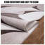 Akaylee Abstract 406.4cm X 584.2cm Area Rug-833356207