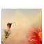 Vidur «Romancing the Hibiscus», impression sur toile tendue-22072515