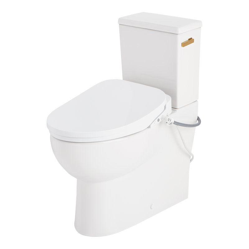 Lavrik Two-Piece Skirted Elongated Toilet with Reversible Tank - Bidet seat - Brushed Gold Handle, Brushed Gold