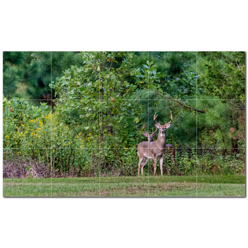 Murale décorative en céramique cerf 8 po x 8 po Deer Photo