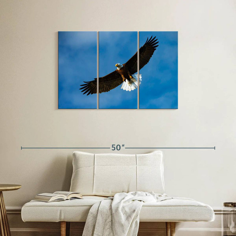 Brampt Eagle From Below, 24" H x 38" W