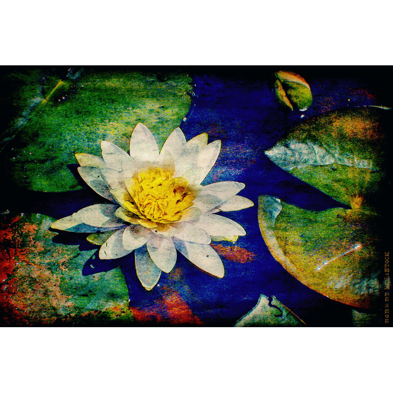 Kenilworth Lilies IV 1 Piece Wrapped Canvas Painting, 20cm H x 30cm W
