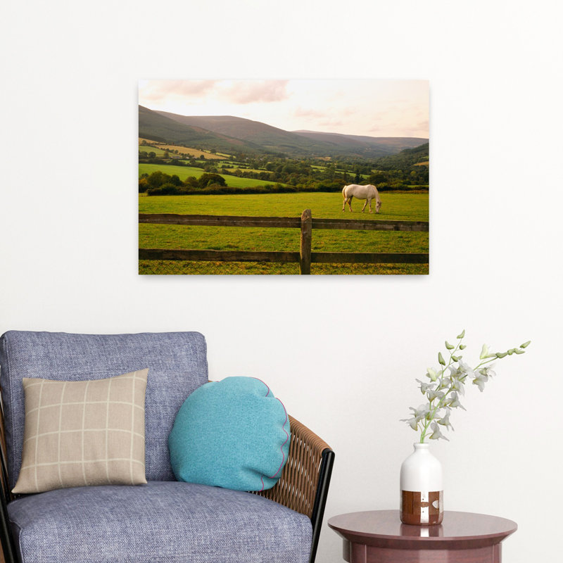 Cheval dans un champ, comté d'Enniskerry, Wicklow, République d'Irlande, art contemporain abstrait, paysage de cheval