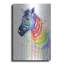 Dakota Fields «Rainbow Zebra» par Olga Shvartsur, art mural en métal, 12 po x 16 po-1820738283