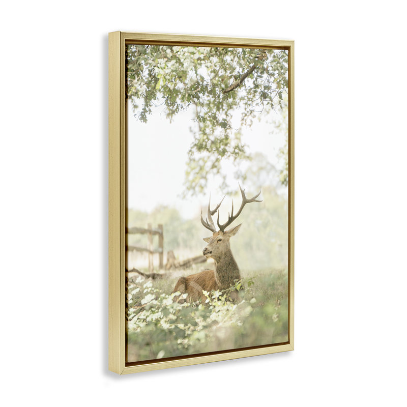 Cadre flottant avec portrait de cerf à queue blanche, design par Leah Straatsma, H 25 po x l 17 po